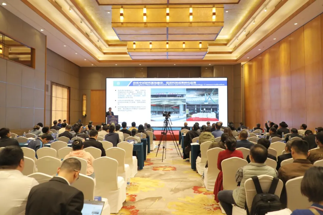 1765032343592031686.jpg 1765032343592031686.jpg